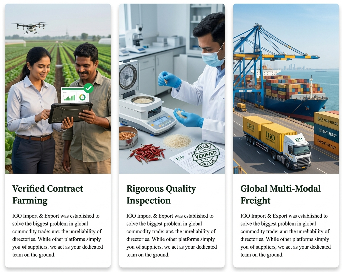 IGO Import Export